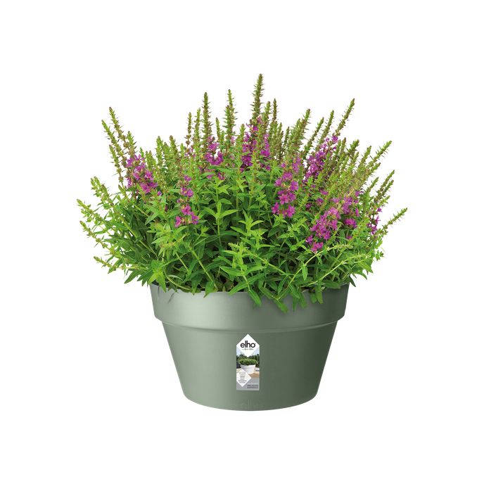 loft urban bowl 35cm pistachio green